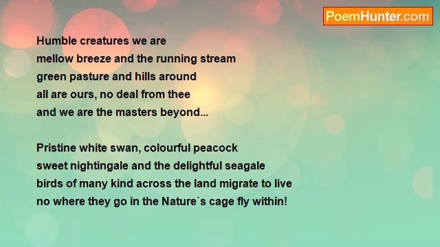 lily peace lago every by to ph - Humble Creatures we are