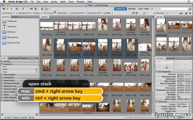 Photoshop CS5 Essential Training-17-Organizing groups of images into stacks