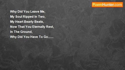 Trenton Davis - Why Did You Have To Go