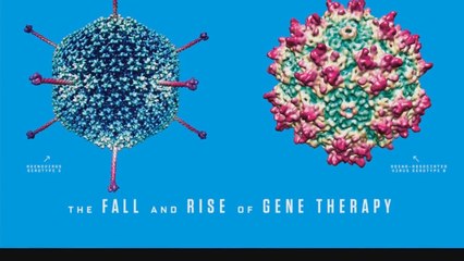 Let's Play Deus Ex: Lecture 24