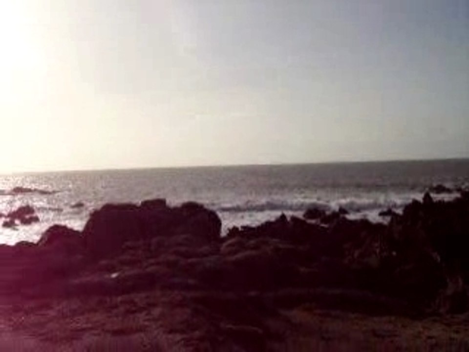 IMGP5349