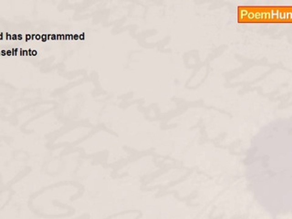 john tiong chunghoo - God has programmed himself into me