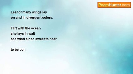 Is It Poetry - She flies Uncorrectable