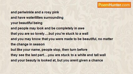 Her Name Is Taylor - An empathy letter to the Wallflower