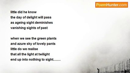 lalitha iyer - VANISHING LIGHTS