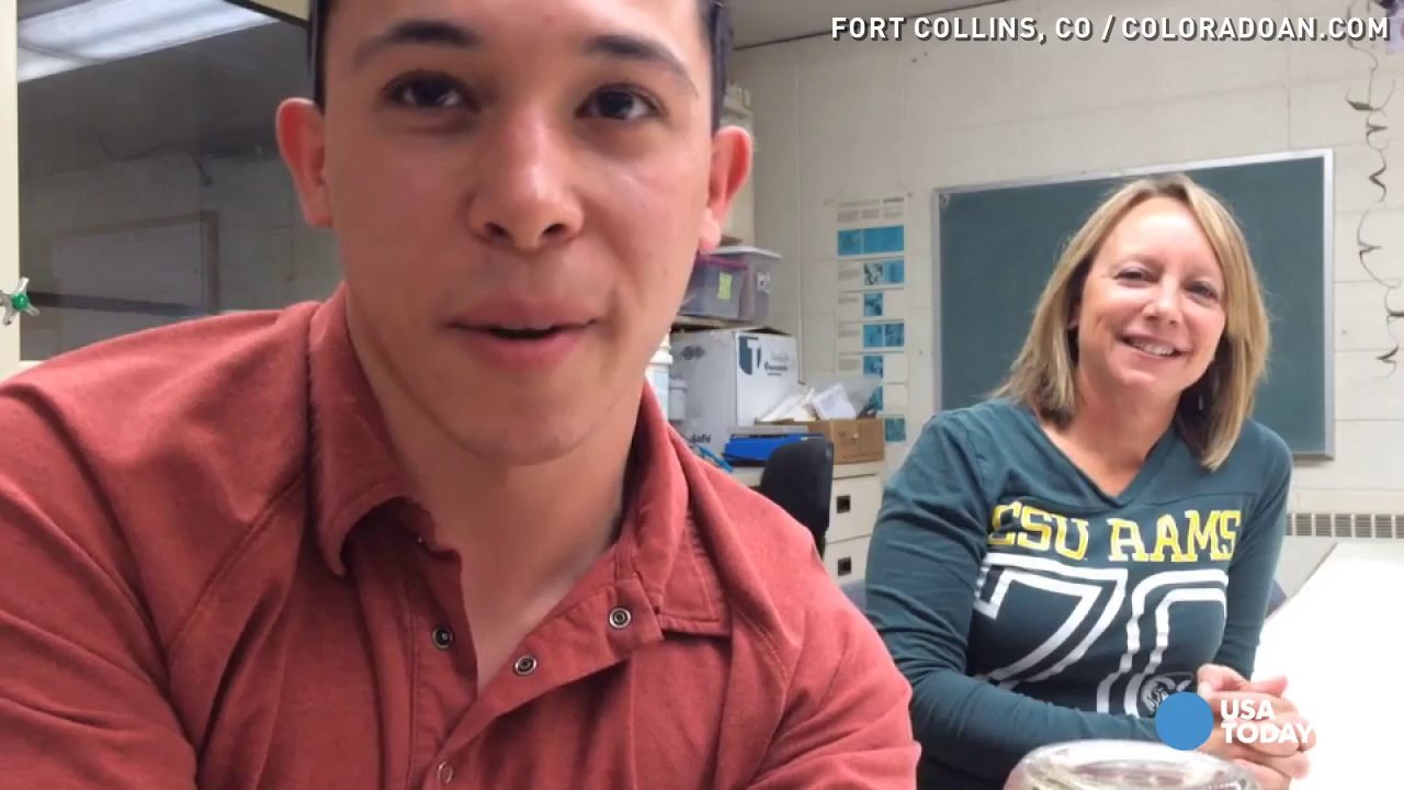 Bed bug bites used for temporary tattoos