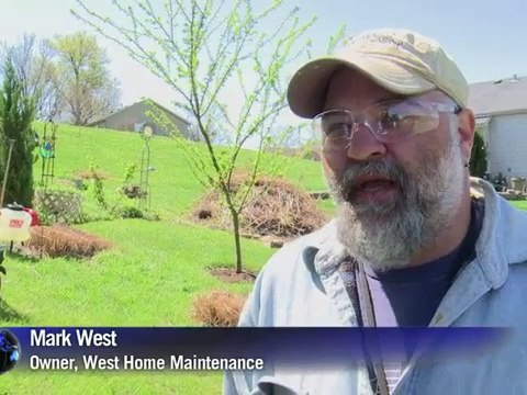 Kentucky residents sue distilleries over 'whiskey fungus'