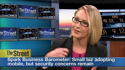 Capital one: small business owners optimistic, Tech savvy too