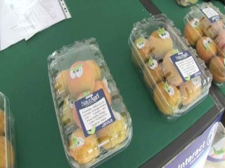 ROTARY E INTERACT PER I BAMBINI MATERA 16-6-2014