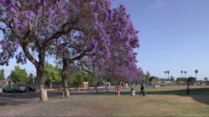 Police: Woman Found 10 Years After Kidnapping