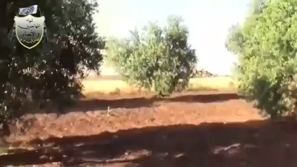 Mortars 'kill 20' at pro-Assad rally in Deraa