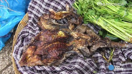 Barbecued iguana? Weird Caribbean food for travelers