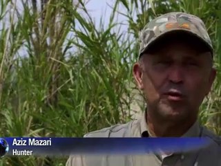 Algeria boar hunters return cautiously after civil war hiatus