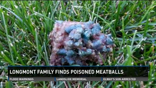 Family finds rat-poison tainted meatballs in yard