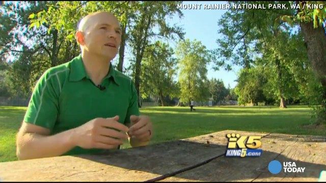 Missing Rainier climbers 'likely buried'