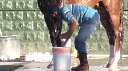 Trainer: California Chrome will win Belmont