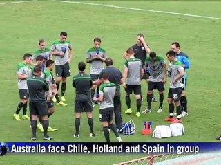 Injury concerns dog Socceroos ahead of world cup