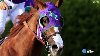 California Chrome makes nasal strips go viral | USA NOW