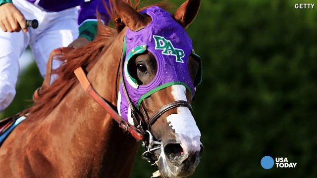 California Chrome makes nasal strips go viral | USA NOW