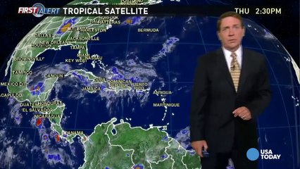 Tropical storms and hurricanes 'below average'