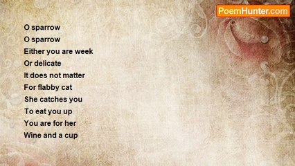 akram saqib - //////sparrow and cat