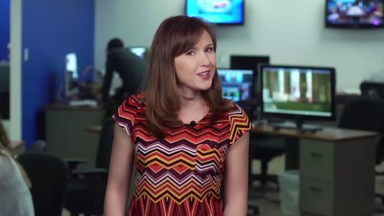 Four animals that could be The next world cup oracle