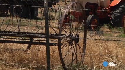 Tumbleweeds causing trouble in southern Colorado