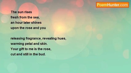 Hanque O . . . - The Sun, the Rose, and You