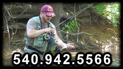 Guided Fly Fishing Harrisonburg VA | South River Fly Shop