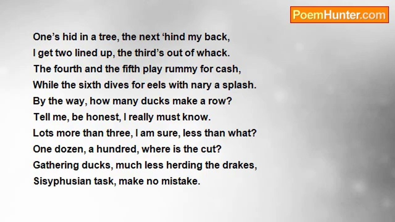 Hanque O . . . - Laughing Ducks