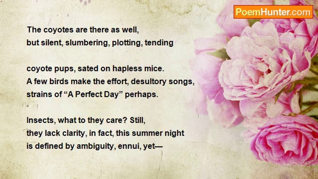 Hanque O . . . - Summer Veil