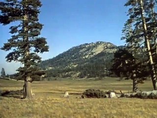 Bonanza - Blood On The Land