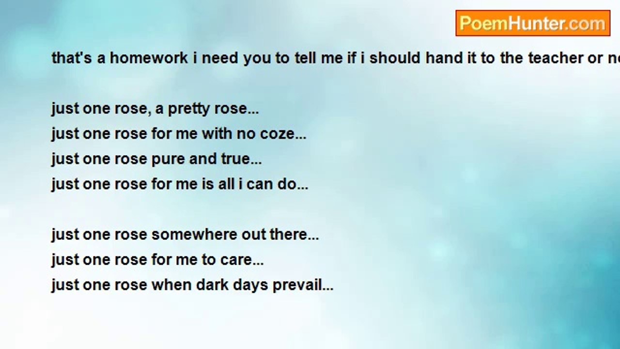 rose of death XxX - just one rose...