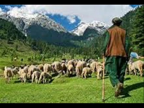 Azad Jamu Kashmir mein Goat Farming Tips Dr.Ashraf Sahibzada