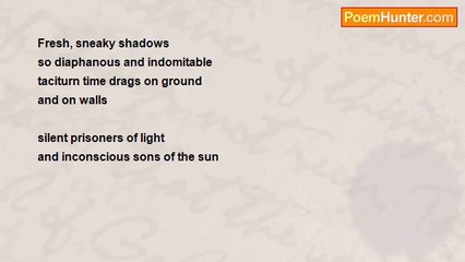 Nizamettin Esen Haymanali - Shadows Don’t Shine