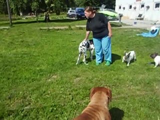 jeux avec les cousins