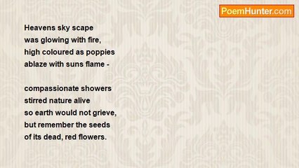 Sally Plumb Plumb - Poppies