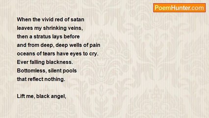 Sally Plumb Plumb - Swing High Swing Low