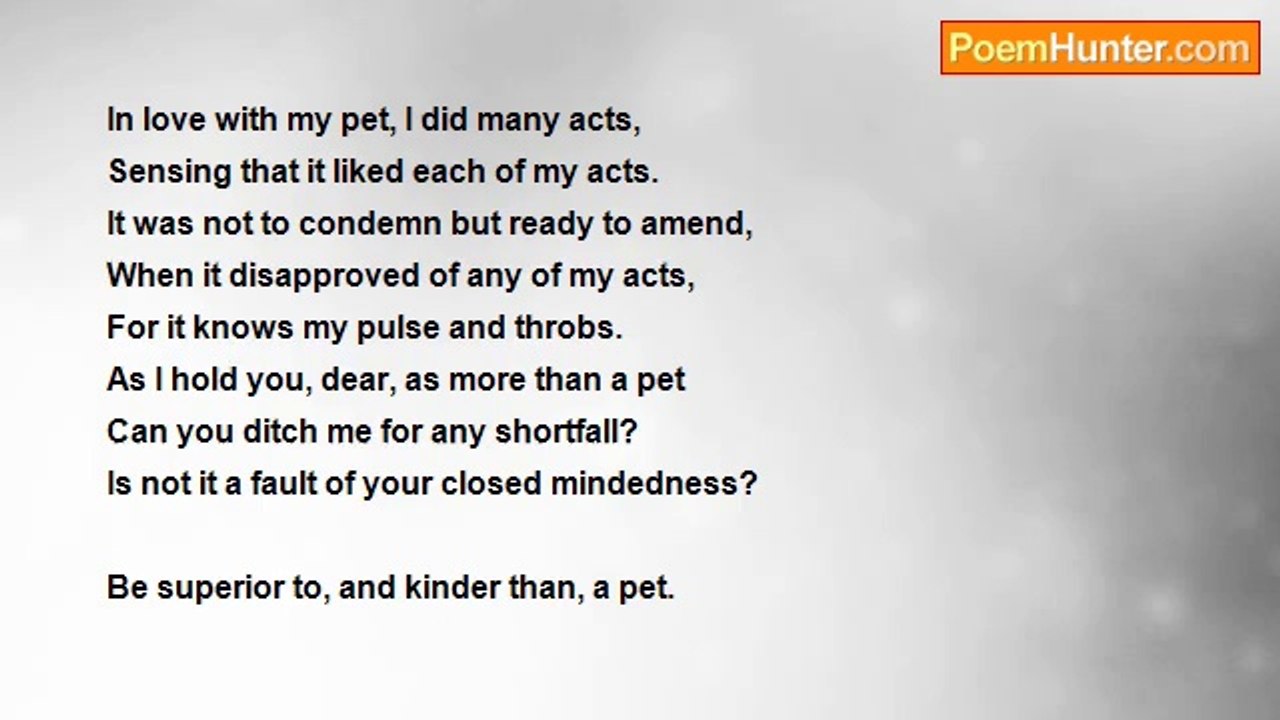Rm.Shanmugam Chettiar. - Be more than a pet