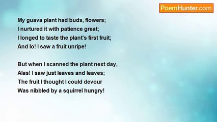 Dr John Celes - The First Guava Fruit