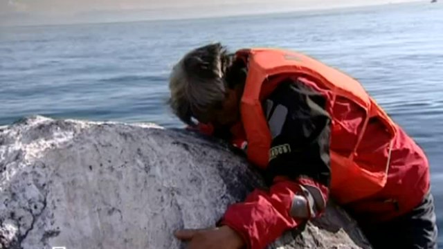 Фильм 31. «Байкал. Живое озеро» [21.01.2012]