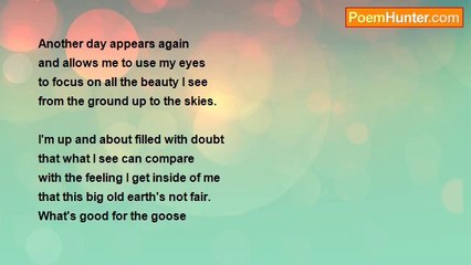 Edwina Reizer - Another Day Appears