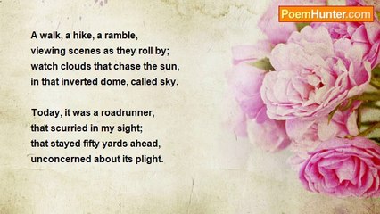 David Lessard - Time passages...