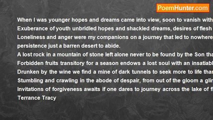 Terrance Tracy - The Journey of a Lost Soul