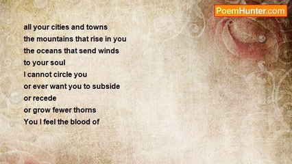 For Matilde - The Rain