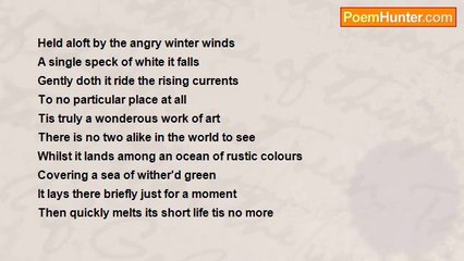 John A. Hancock - Sonnet # 48 The First Snowflake