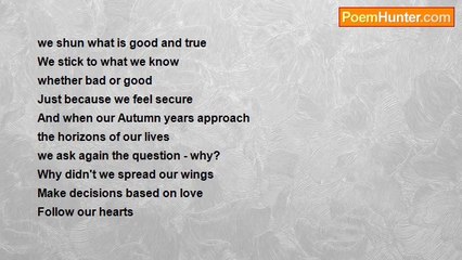 chantelle ribeiro - Why? ...