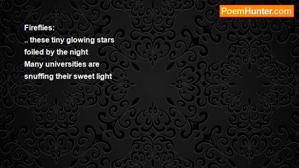 Saiom Shriver - Fireflies