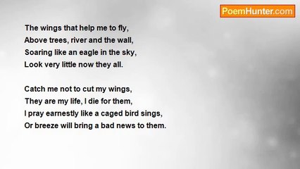 Mohammad Muzzammil - The Wings Of Love