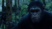 Dawn of the Planet of the Apes - Trailer 3 for Dawn of the Planet of the Apes